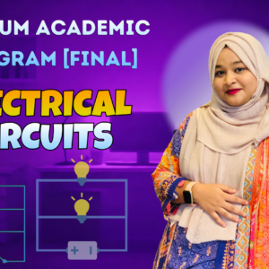 Electrical Circuit (Nex-5256)